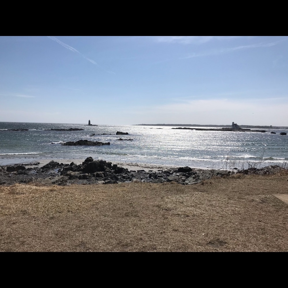 Meet your Posher, Antoinette